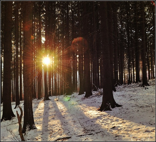 Зима и солнце: угасание природы