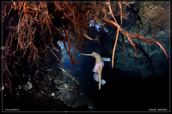 Подводная съемка прекрасных чаровниц от Анатолия Белощина