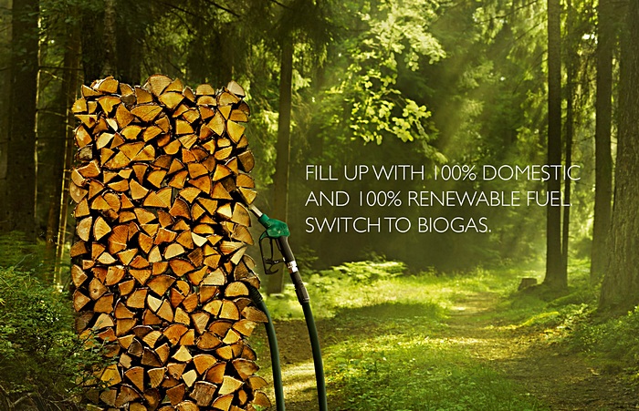Заправка дровами: зеленая реклама биотоплива