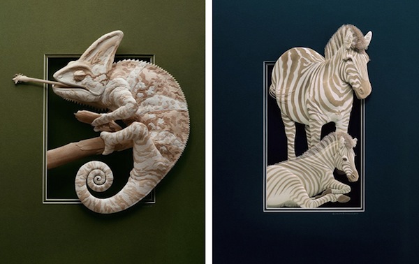 Бумажные животные Кэлвина Николлса: хамелеон и зебра