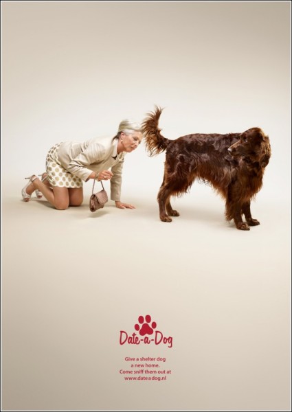 Креативная реклама собачьего приюта: обнюхайте пса, леди!