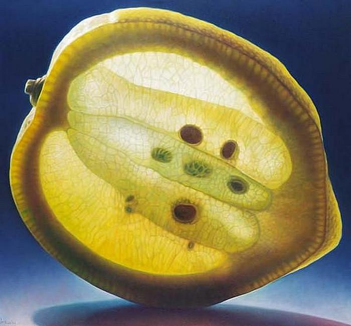 Светящийся лимон: масляная живопись Денниса Войткевича