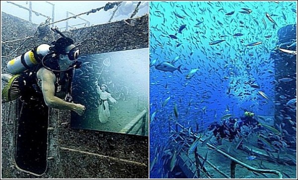 Выставка на затонувшем корабле: подводные фотографии Андреаса Франке