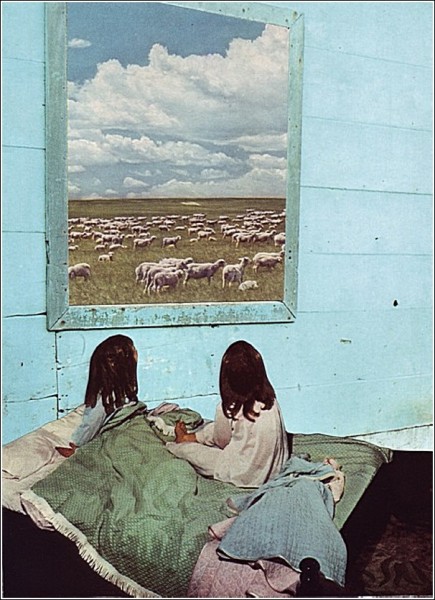 О, дивный старый мир вырезок из журналов: искусство считать овец
