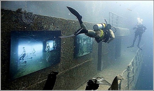 Экспозиция в действии: подводные фотографии Андреаса Франке