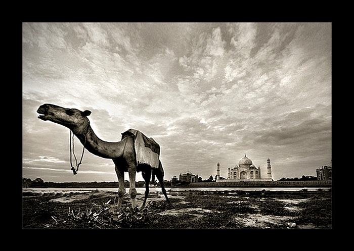 Тадж-Махал в необычном ракурсе: черно-белые снимки Тамера Аль-Тассана