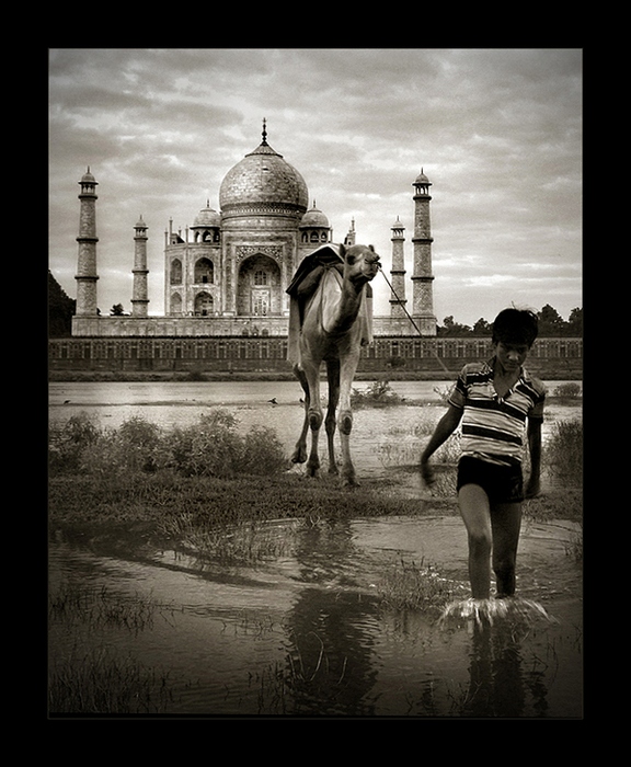 Жизнь проходит мимо: черно-белые снимки Тамера Аль-Тассана