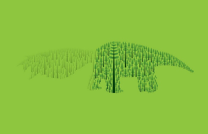 Тающие звери из редеющего леса: зеленая реклама из Бразилии