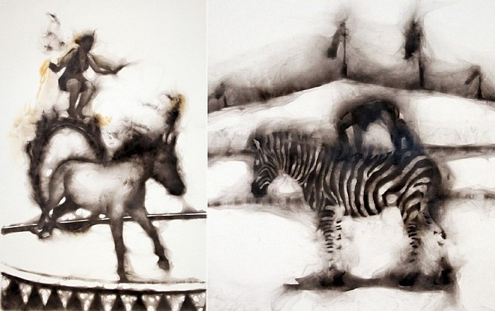 Цирковые лошади и зебры на туманной арене: фотокартины Роба Тарбелла, дорисованные дымом