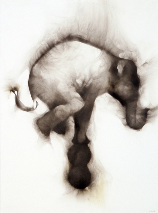 Цирковой слон: фотокартины Роба Тарбелла, дорисованные дымом