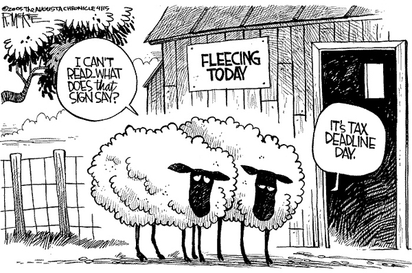 Надпись: «Стрижка овец». Овцы: «Что там написано?» - «Сегодня дедлайн по уплате налогов»