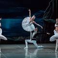 Театр балета имени Якобсона открывает 50-й сезон гастролями во Владикавказе