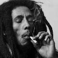 В США выпустят сорт марихуаны в честь Боба Марли