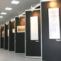 Выставка мировой каллиграфии откроется 1 ноября в Сокольниках