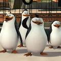 Объявлено о начале работ над мультфильмом про пингвинов из «Мадагаскара»
