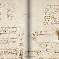 Оцифрованная рукопись Леонардо да Винчи появилась в свободном доступе